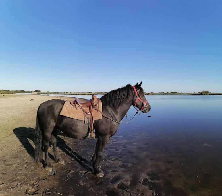 Gite A Saint Andre Des Eaux מראה חיצוני תמונה