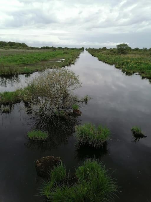 Gite A Saint Andre Des Eaux מראה חיצוני תמונה